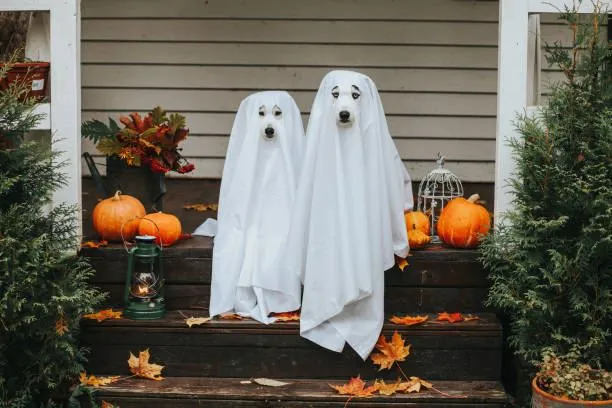 les fantomes d'hallowen