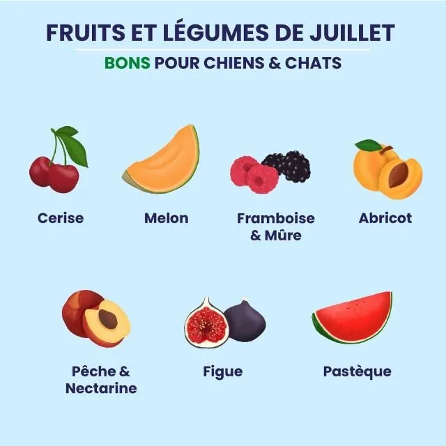 Fruits de juillet 🍒🍉